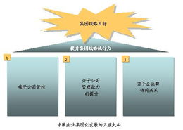平衡计分卡与战略管理 提升中国企业集团战略执行力的实践探索