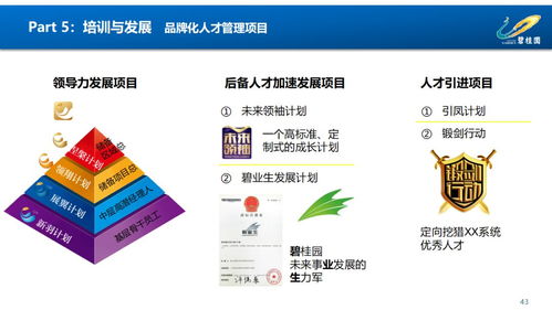 赋能组织，驱动未来 凤厂人力资源管理体系构建与优化