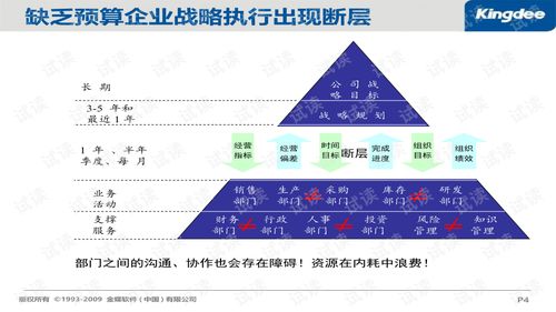 企业预算系统优化 策略、实施与咨询服务指南