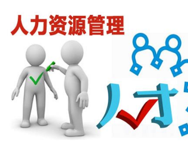 人力资源管理学术研究与咨询服务领域的参考文献获取路径探究